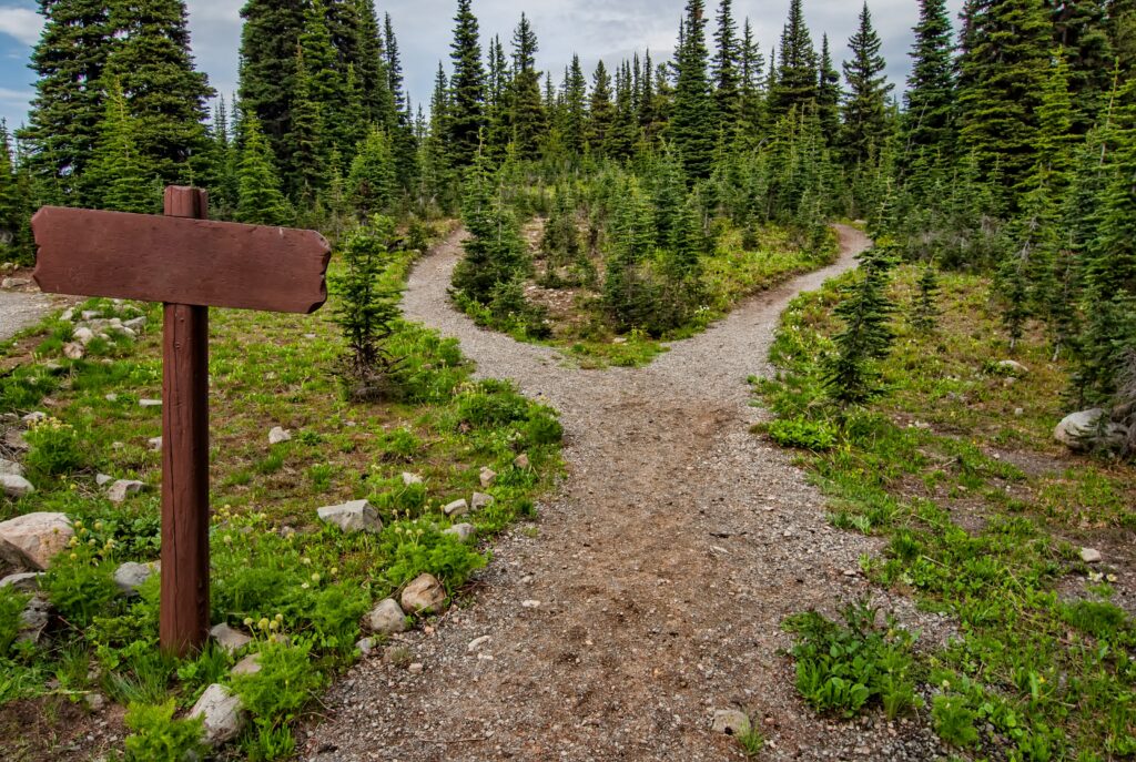 Bivio di un sentiero nel bosco che simboleggia i due modi di portare equilibrio degli emisferi cerebrali